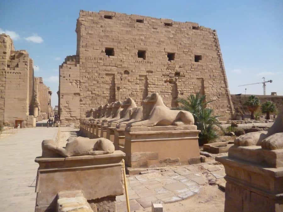 Luxor: Private East and West Banks Tour and Felucca Cruise - Price and value: where your $115 really goes