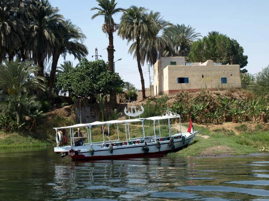 Luxor: Private Felucca Boat Trip with Hotel Pickup - What You’ll See on the Nile: West Bank Life From Water Level