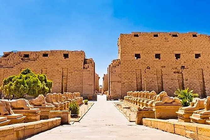 Luxor private full day tour east and west bank temples & tombs - Price and logistics: why this tour can feel like a steal