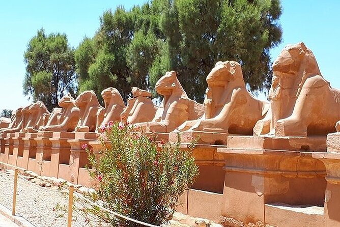 Luxor private full day tour east and west bank temples & tombs - Luxor Temple: preserved color and the calm after the big sights