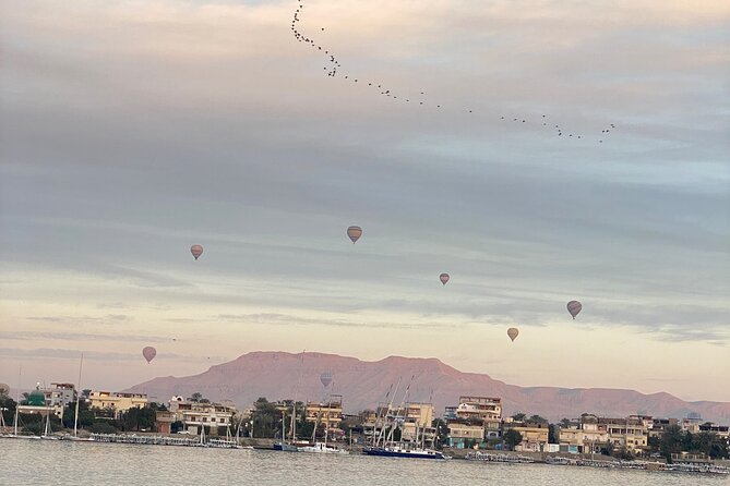 Luxor private tour to East and West bank - Guide upgrades: How to choose the right level of help