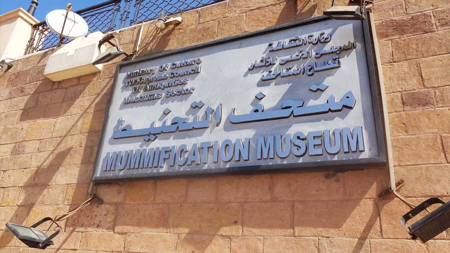 Luxor: Private Tour to Luxor Museum & Mummification Museum. - Price and logistics: does $70 really add up?