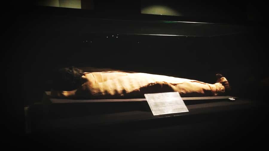 Luxor: Private Tour to Luxor Museum & Mummification Museum. - Should you book Luxor Museum and Mummification Museum privately?