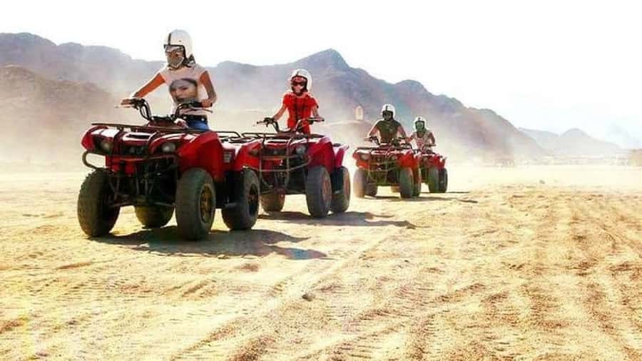 Luxor: Quad Bike Private Safari on the Nile East Bank - Key things I’d zero in on