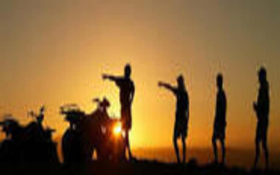 Luxor: Quad Bike Private Safari on the Nile East Bank - Who should book this and who should skip it