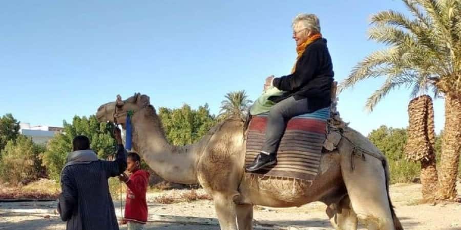 Luxor: Scenic Camel or Horse Ride - Key things to know before you book