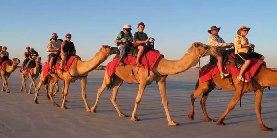 Luxor: Scenic Camel or Horse Ride - Leaving the city behind: what the ride feels like