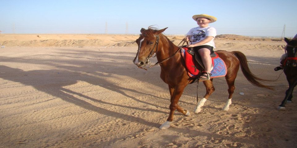 Luxor: Scenic Camel or Horse Ride - Animals, care, and how to judge the day quickly
