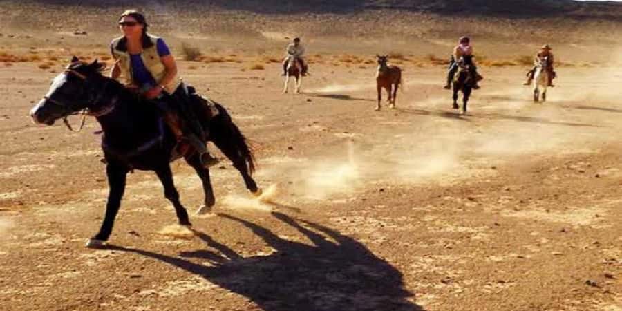 Luxor: Scenic Camel or Horse Ride - Price and value: does $15 for 90 minutes make sense?