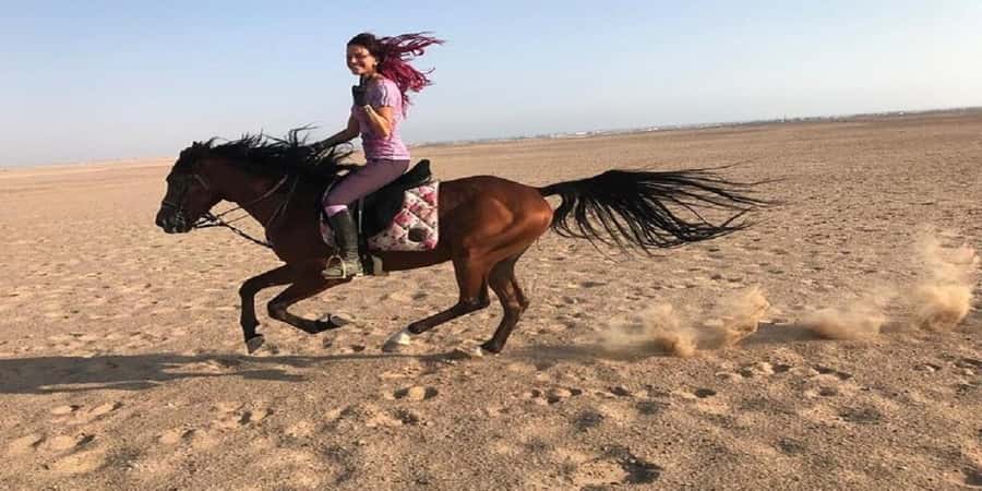 Luxor: Scenic Camel or Horse Ride - Timing and expectations: what to pack mentally