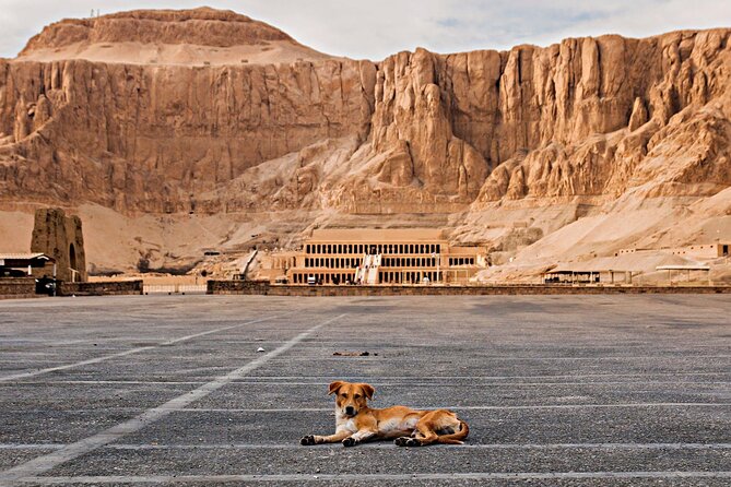 Luxor Tour from Hurghada Full Day Hight Quality King VIP - Luxor Lunch Break: A Chance to Reset