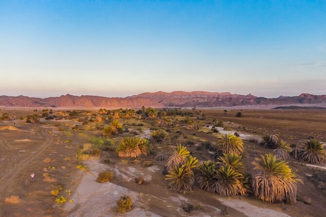 Luxury Sunset Safari to the Oasis & Starlit Dinner from Hurghada - Key highlights before you go