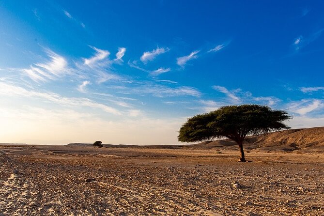 Luxury Sunset Safari to the Oasis & Starlit Dinner from Hurghada - Comfort Matters: Air-Conditioned Pickup and Smooth Timing
