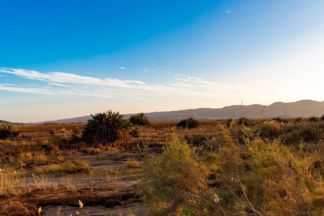 Luxury Sunset Safari to the Oasis & Starlit Dinner from Hurghada - Stop 2: Wadi Belli Canyon Walk for Fossils and Ancient Seas