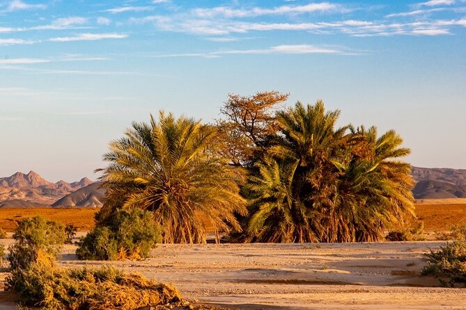 Luxury Sunset Safari to the Oasis & Starlit Dinner from Hurghada - Stop 1 in the Eastern Desert: Bedouin Tea, Stories, and Camel Time