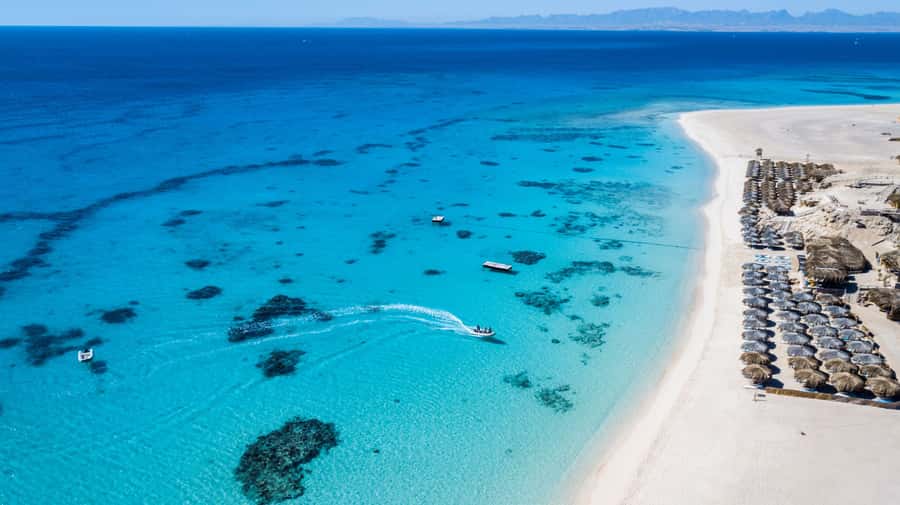 Mahmya Island: Red Sea Sailing Experience - Dolphins and Bigger Marine Life: How to Think About Wildlife Sightings