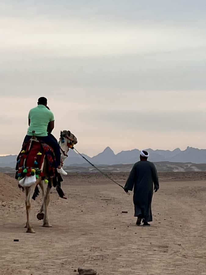 Makadi Bay: BADU Lunch, Camel & Horse, Sungaze & BADU Party - Key highlights worth your time