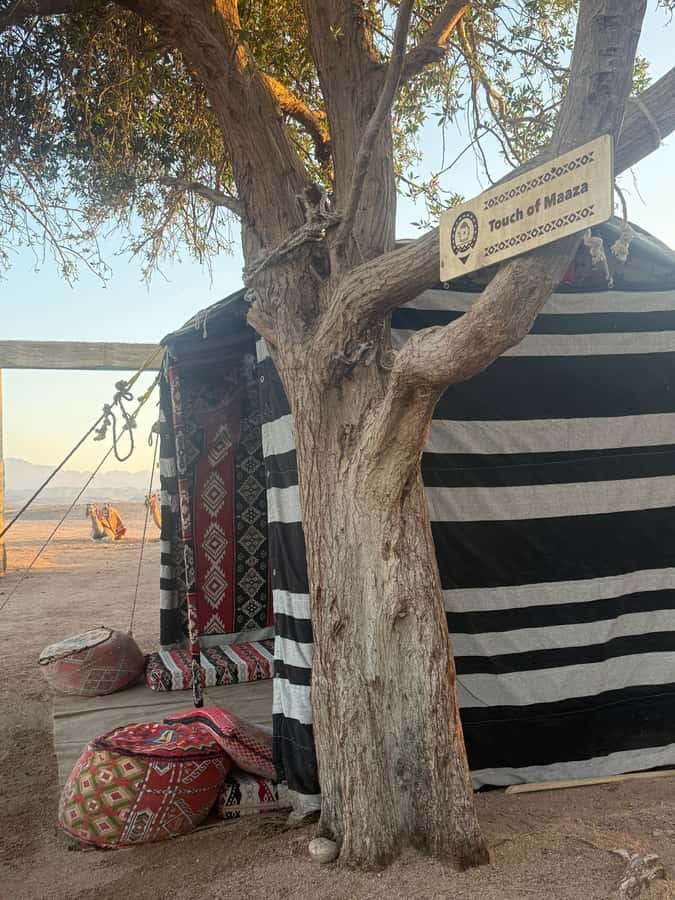 Makadi Bay: BADU Luxury Bedouin Dinner Experience & Stargaze - Welcome Tea, Then Real Bedouin-Style Activities