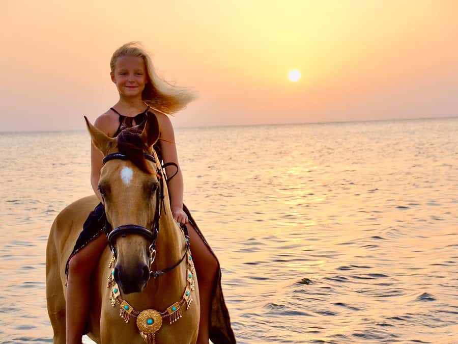 Makadi Bay: Horse Riding in Desert & Sea w Guide + Transfers - Desert meets the Red Sea: what makes this ride special