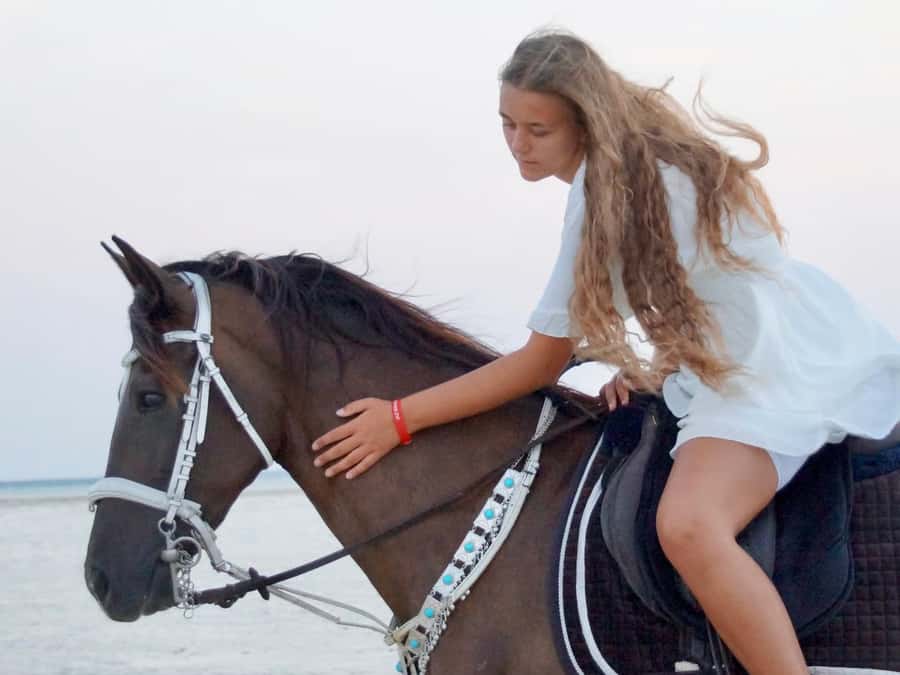Makadi Bay: Horse Riding in Desert & Sea w Guide + Transfers - Guides, horses, and safety gear: how to get the best day