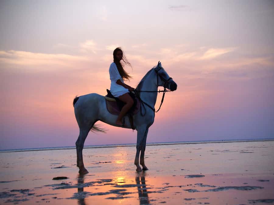 Makadi Bay: Horse Riding in Desert & Sea w Guide + Transfers - Value check: is it worth $35?
