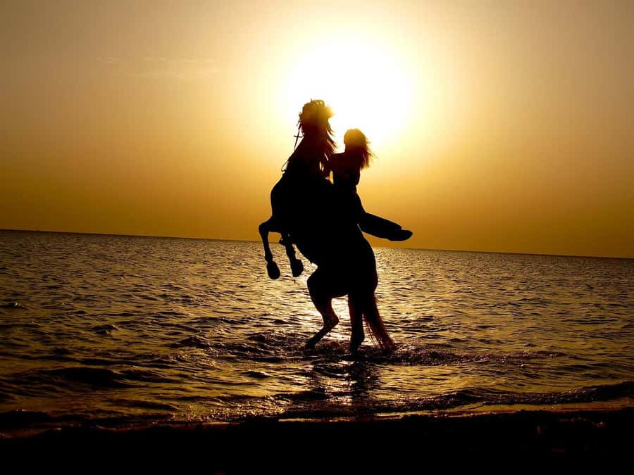 Makadi Bay: Horse Riding in Desert & Sea w Guide + Transfers - What to pack and how to enjoy the saddle comfortably