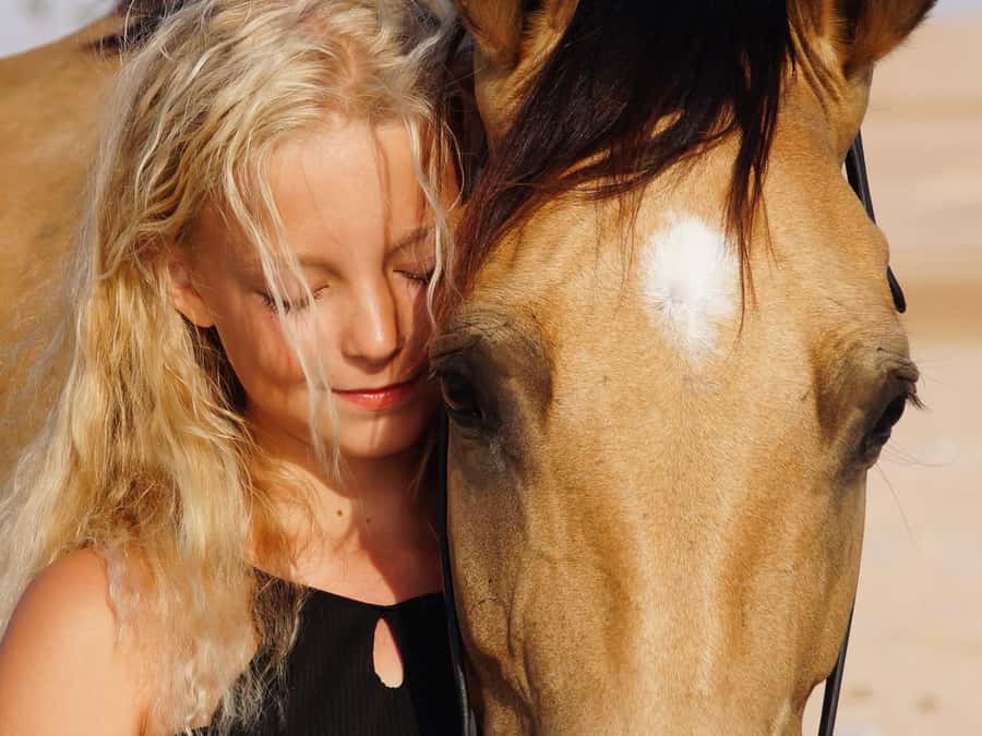 Makadi Bay: Horse Riding in Desert & Sea w Guide + Transfers - Should you book it? My practical take