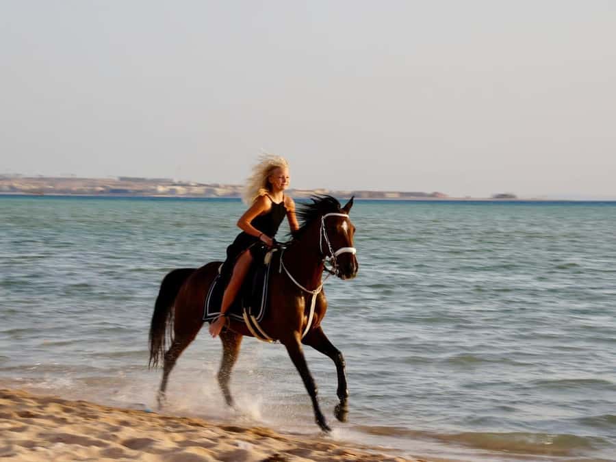 Makadi Bay: Horse Riding in Desert & Sea w Guide + Transfers - Getting there from Hurghada: transfers and first impressions