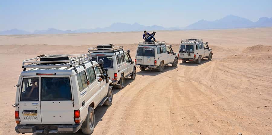 Makadi Bay: Jeep Safari Adventure with Bedouin guide - Should You Book the Makadi Bay Jeep Safari with Bedouin Guide?