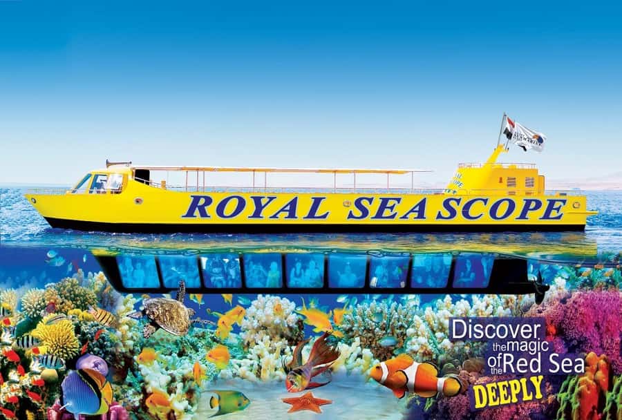 Makadi Bay: Royal Seascope Submarine Cruise & Snorkel stop - Getting Oriented: Xanadu Marina, Then Straight Underwater
