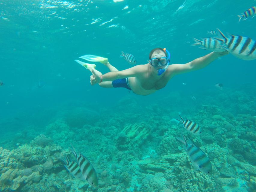 Makadi Bay: Snorkelling and Diving Island Trip - Key takeaways (worth knowing before you go)