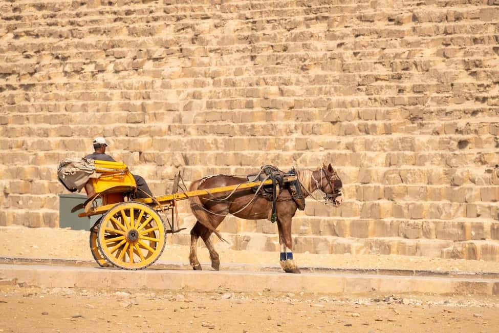 Marsa Alam: Ancient Cairo & Giza Pyramids Day Trip by Plane - Price and Logistics: Is $469 Good Value?