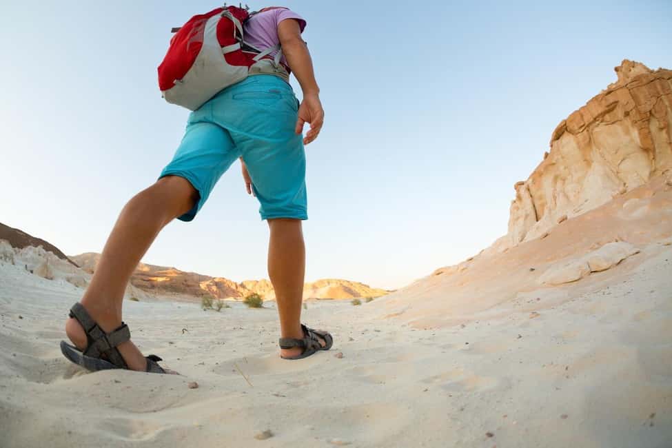 Marsa Alam Bedouin Nights: Jeep Safari, Dinner & Stargazing - Why Marsa Alam Bedouin Nights feels like a complete desert evening
