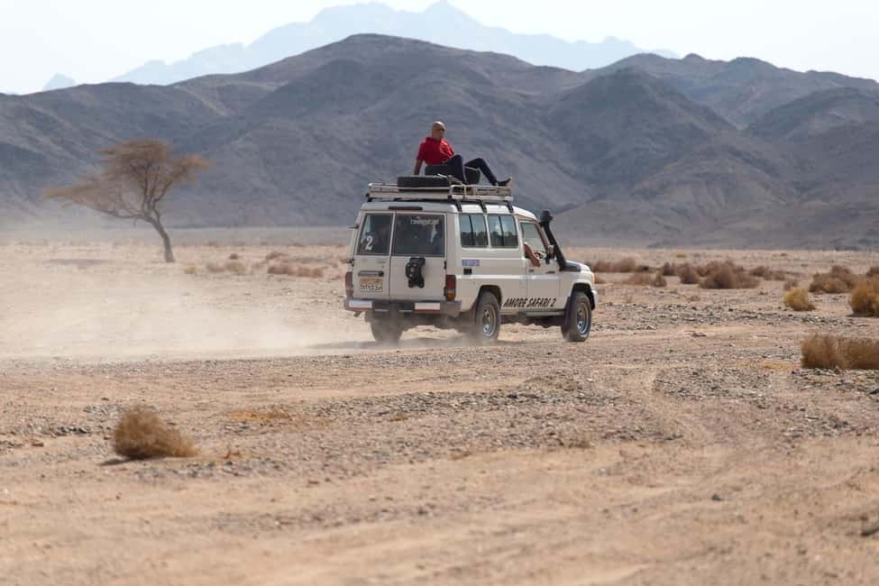 Marsa Alam Bedouin Nights: Jeep Safari, Dinner & Stargazing - Telescope stargazing: what you’ll see and how the guide makes it click