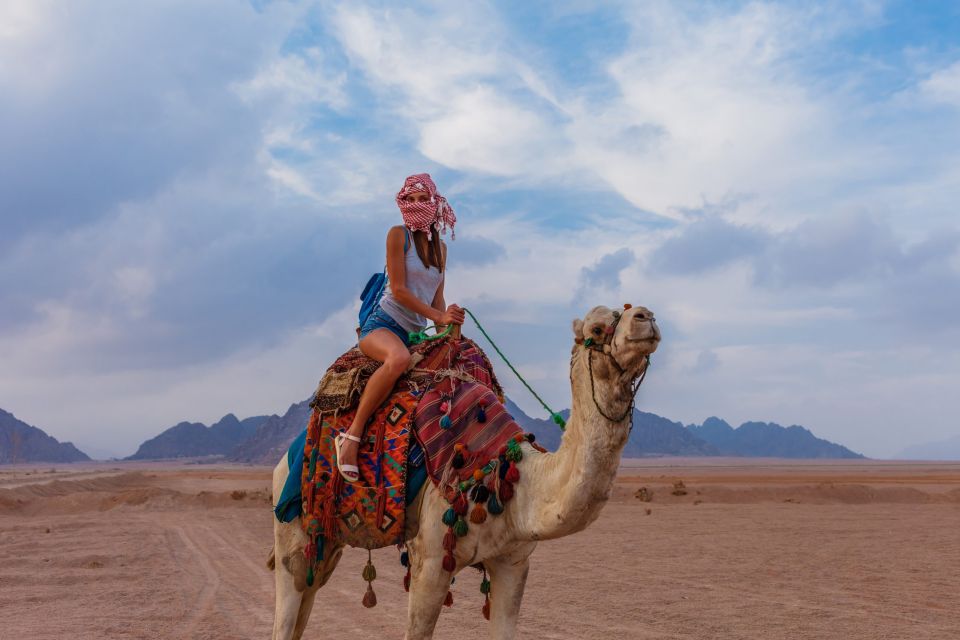 Marsa Alam Bedouin Nights: Jeep Safari, Dinner & Stargazing - Who this tour suits best (and who should skip it)