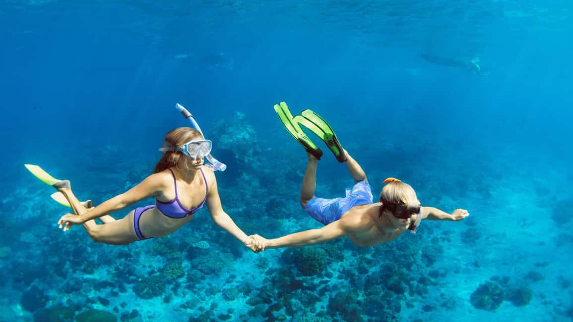 Marsa Alam: Dolphin House Adventure at Shaab Samadai Reef - Dolphins: the thrilling moment you can’t schedule
