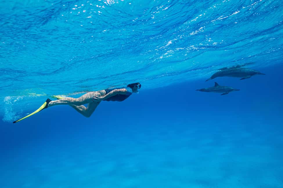 Marsa Alam: Dolphin House Adventure at Shaab Samadai Reef - What to bring (so the day doesn’t get annoying)