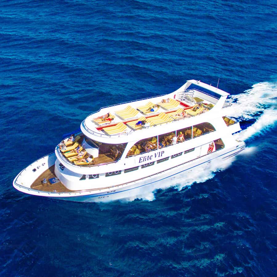 Marsa Alam: Elite vip Turtle bay snorkeling with BBQ Lunch - Key highlights you’ll actually care about