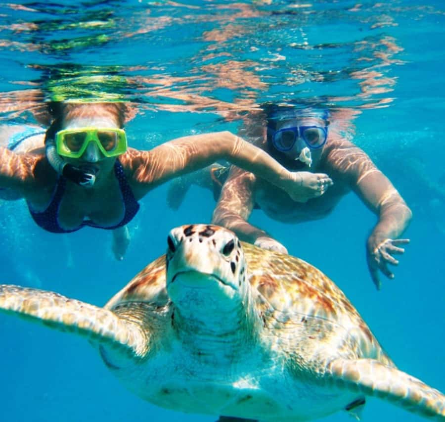 Marsa Alam: Pirates Premium Boat to turtle bay with lunch - The Deck Between Swims: Lunch or Dinner That Actually Works