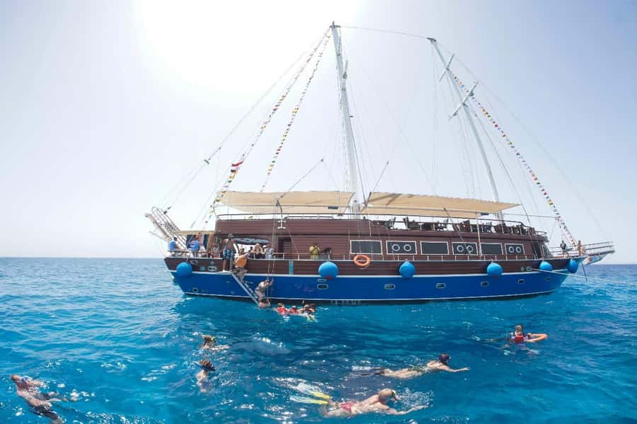 Marsa Alam: Pirates Premium Boat to turtle bay with lunch - Price and Value: What You’re Really Paying For