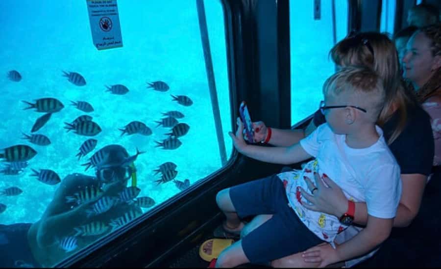 Marsa Alam: Royal Seascope Submarine Cruise with Pickup - Price and Value: $59 With Pickup, and the Trade-offs