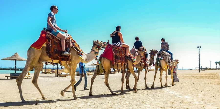 Marsa Alam: Sea and Desert Camel Riding Tour - Quick hits before you book