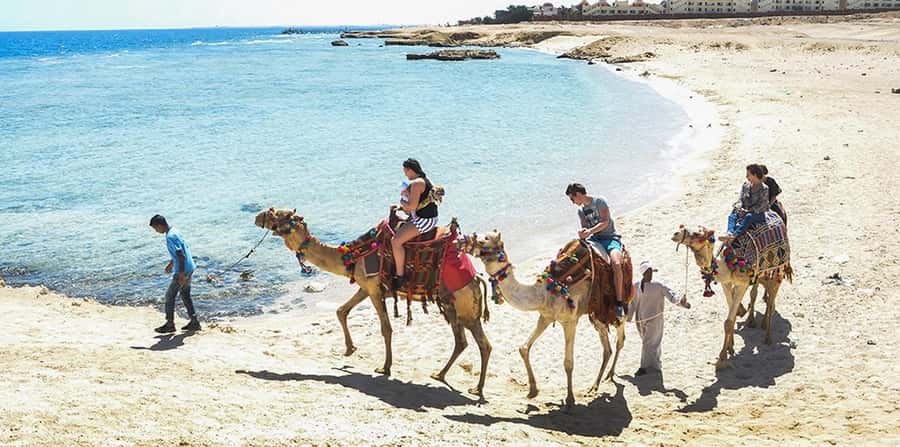 Marsa Alam: Sea and Desert Camel Riding Tour - Why Marsa Alam’s desert-and-coast route feels special