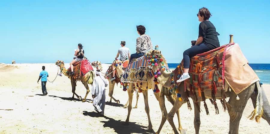 Marsa Alam: Sea and Desert Camel Riding Tour - The 2-hour ride: dunes, shoreline views, and a calm guiding rhythm