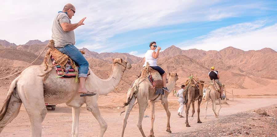 Marsa Alam: Sea and Desert Camel Riding Tour - Who this is best for—and who should skip it