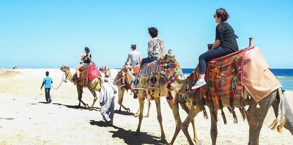 Marsa Alam: Sea and Desert Camel Riding Tour - Practical tips: what to bring and what to wear
