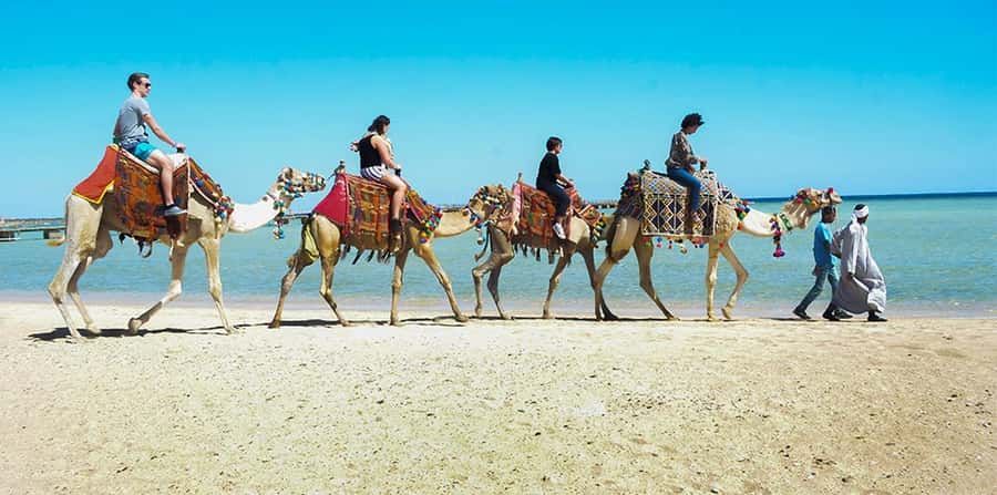 Marsa Alam: Sea and Desert Camel Riding Tour - Time your ride: sunrise breakfast, golden morning, and sunset views