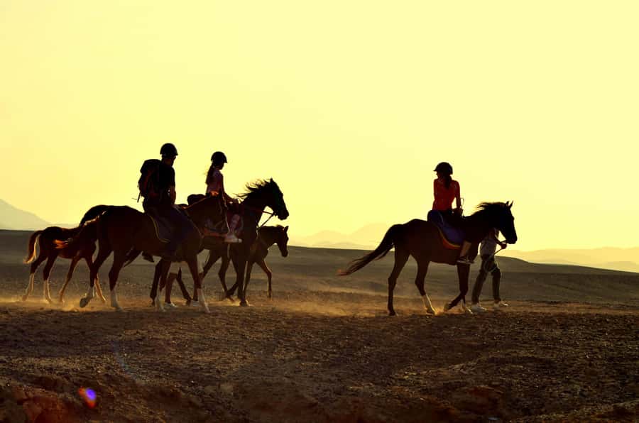 Marsa Alam: Sea and Desert Horse Riding Tour - Picking Your Timing: Sunrise, Daytime, or Sunset