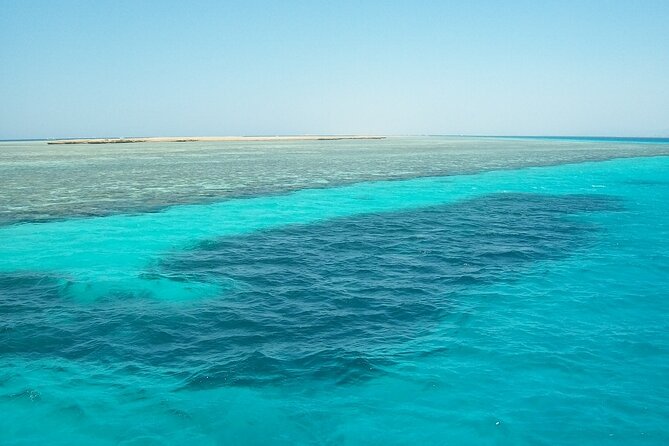 Marsa Alam: Snorkel with Sea Cows and Turtles at Marsa Mubarak - Marsa Mubarak Snorkeling With Dugong and Turtles: What You’re Really Buying