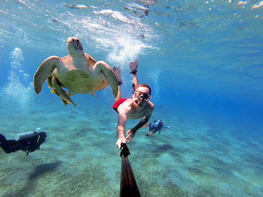 Marsa Alam: Snorkeling with Sea Turtles Marsa Mubarak - Key highlights you’ll actually use